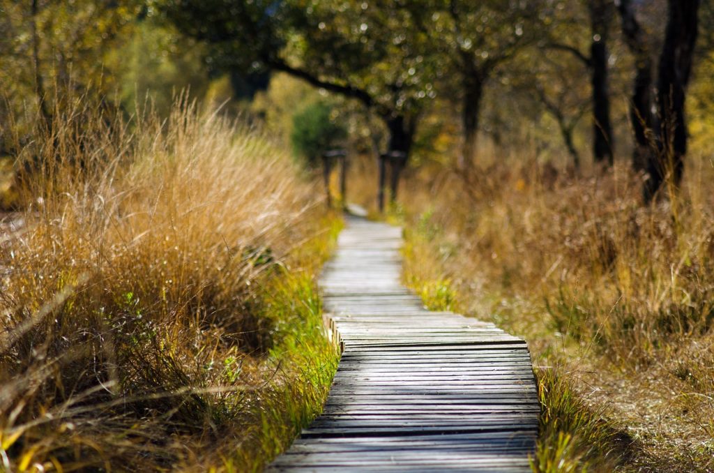 Die Walk and Talk Methode